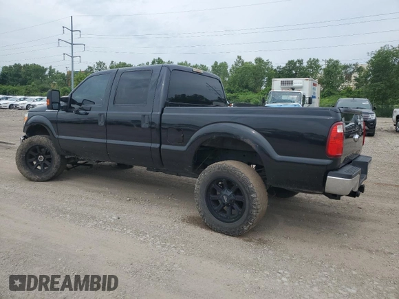 2014 Ford F-250 XL with VIN 1FT7W2BT4EEB48646, listed as a Copart auction lot 62489945 with 235,728 mi miles and Salvage title. Bid and sale history available at DreamBid. Image 2.