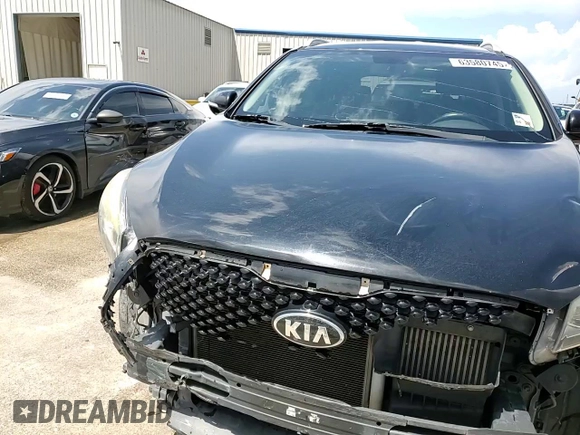 2016 Kia Sorento EX with VIN 5XYPH4A19GG005627, listed as a Copart auction lot 63580745 with 174,611 mi miles and Salvage title. Bid and sale history available at DreamBid. Image 14.