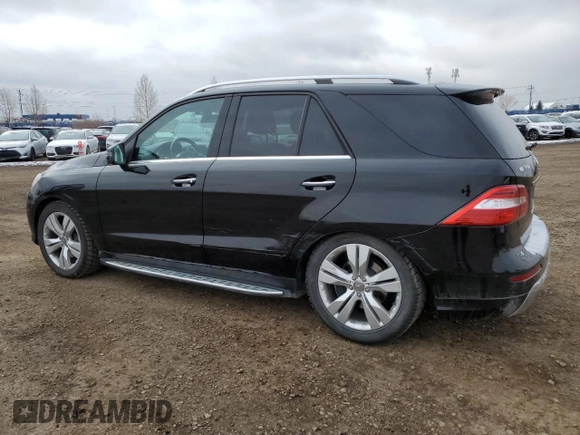 2014 Mercedes-Benz M 350 with VIN 4JGDA2EB9EA308480, listed as a Copart auction lot 49251015 with 126,542 mi miles and Salvage Title. Bid and sale history available at DreamBid. Image 2.