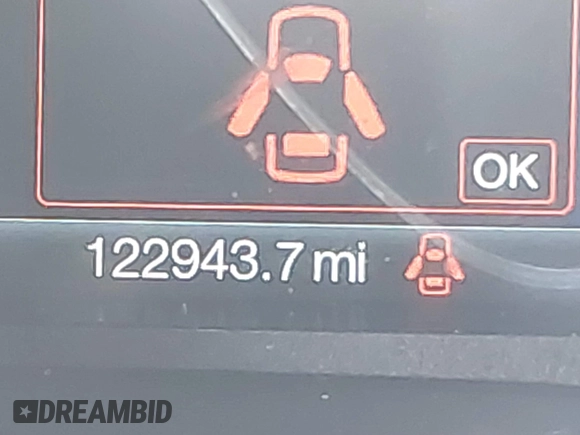 2018 Ford C-Max SE with VIN 1FADP5AU8JL102227, listed as a IAAI auction lot 42062394 with 122,943 mi miles. Bid and sale history available at carsss.com. Image 15.
