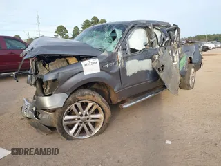 2010 Ford F-150 XL with VIN 1FTEW1C83AFC16015, listed as a IAAI auction lot 41332988 with Not Provided miles and . Bid and sale history available at DreamBid. Image 21.