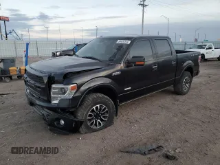 2013 Ford F-150 XL with VIN 1FTFW1ET3DFC87757, listed as a Copart auction lot 84429344 with 102,948 mi miles and Salvage Title. Bid and sale history available at carsss.com. Image 1.