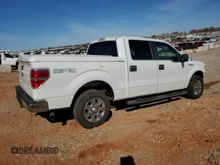2009 Ford F-150 XL with VIN 1FTRW12869FA24540, listed as a Copart auction lot 49086015 with 184,310 mi miles and Salvage Title. Bid and sale history available at carsss.com. Image 3.