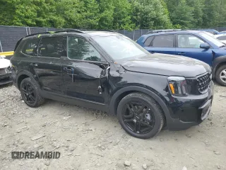 2024 Kia Telluride SX X-Line with VIN 5XYP5DGC1RG494352, listed as a Copart auction lot 58260515 with 25,538 mi miles and Salvage title. Bid and sale history available at DreamBid. Image 4.
