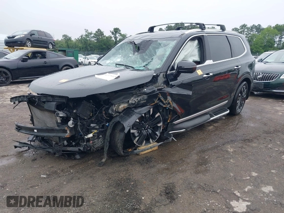 2024 Kia Telluride SX Prestige X-Pro with VIN 5XYP5DGC7RG435855, listed as a IAAI auction lot 42379329 with Not provided miles and . Bid and sale history available at DreamBid. Image 2.