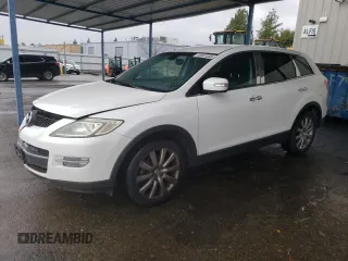 2009 Mazda CX-9 Grand Touring with VIN JM3TB38VX90179967, listed as a Copart auction lot 44461555 with 173,005 mi miles and Salvage Title. Bid and sale history available at carsss.com. Image 1.
