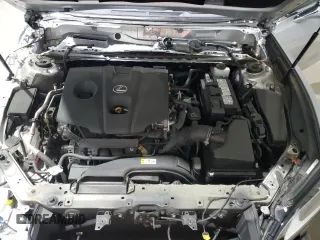 2021 Lexus ES 250 with VIN 58AD11D13MU005655, listed as a Copart auction lot 52137355 with 32,107 mi miles and Salvage title. Bid and sale history available at DreamBid. Image 13.