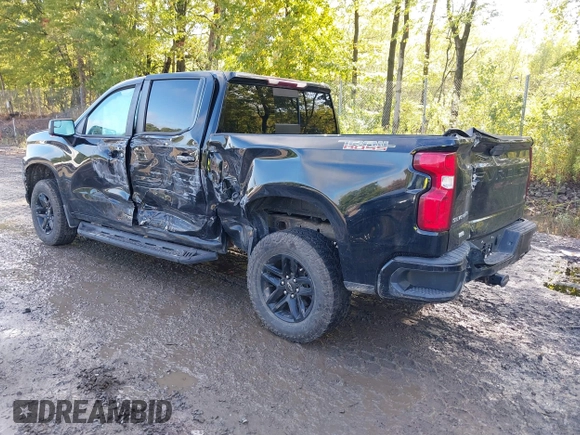 2019 Chevrolet Silverado 1500 LT Trail Boss with VIN 1GCPYFED4KZ362014, listed as a IAAI auction lot 40448826 with 93,568 mi miles and . Bid and sale history available at DreamBid. Image 3.