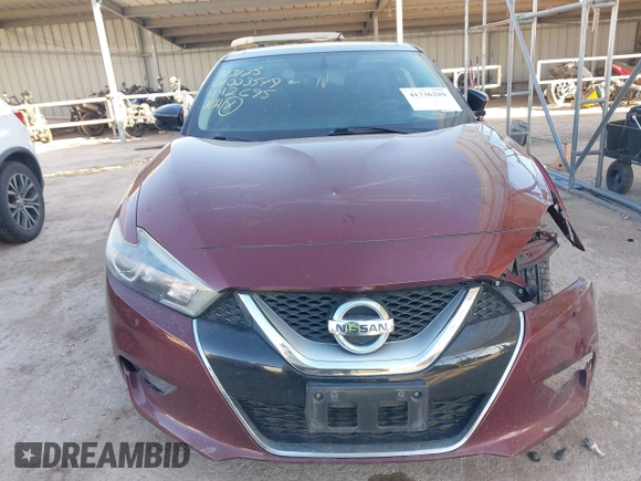 2017 Nissan Maxima SV with VIN 1N4AA6AP0HC442695, listed as a IAAI auction lot 41736289 with 124,423 mi miles. Bid and sale history available at carsss.com. Image 13.