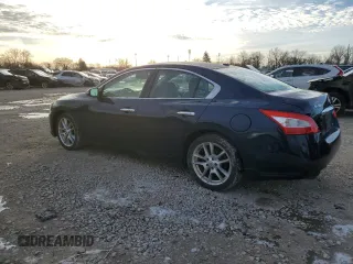 2010 Nissan Maxima 3.5 SV with VIN 1N4AA5AP7AC817336, listed as a Copart auction lot 85359874 with 153,143 mi miles and Clean Title. Bid and sale history available at carsss.com. Image 2.