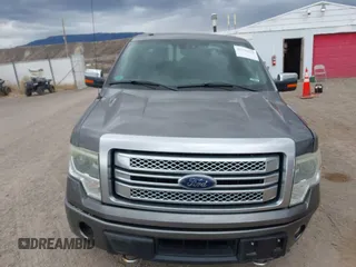 2014 Ford F-150 XL with VIN 1FTFW1ET0EFA49589, listed as a IAAI auction lot 41792225 with Not provided miles and . Bid and sale history available at DreamBid. Image 12.