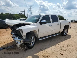 2013 Chevrolet Silverado 1500 LT with VIN 3GCPKSE72DG281861, listed as a Copart auction lot 55227385 with 253,170 mi miles and Salvage Title. Bid and sale history available at DreamBid. Image 1.