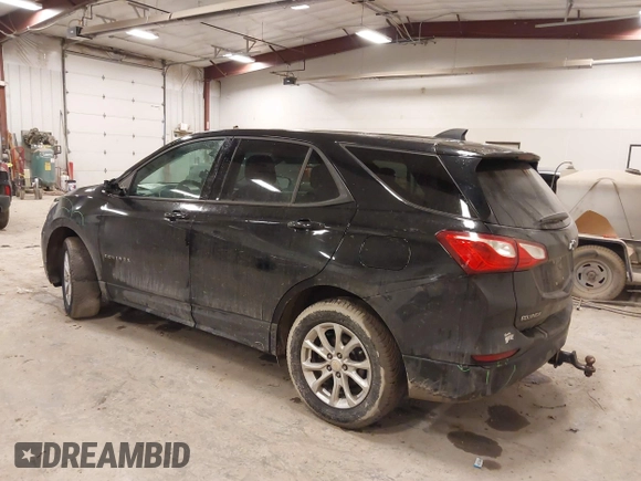 2019 Chevrolet Equinox LS with VIN 2GNAXSEV9K6121904, listed as a IAAI auction lot 41667121 with 141,598 mi miles and . Bid and sale history available at DreamBid. Image 3.