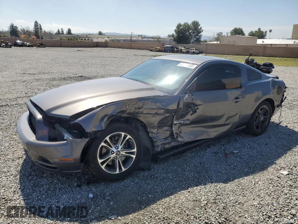 2014 Ford Mustang V6 with VIN 1ZVBP8AMXE5201707, listed as a Copart auction lot 49221165 with 164,123 mi miles and Salvage Title. Bid and sale history available at carsss.com. Image 1.