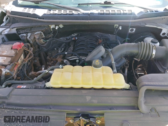 2019 Ford F-150 XL with VIN 1FTEW1C53KKC67450, listed as a IAAI auction lot 41846803 with 50,156 mi miles and . Bid and sale history available at DreamBid. Image 10.