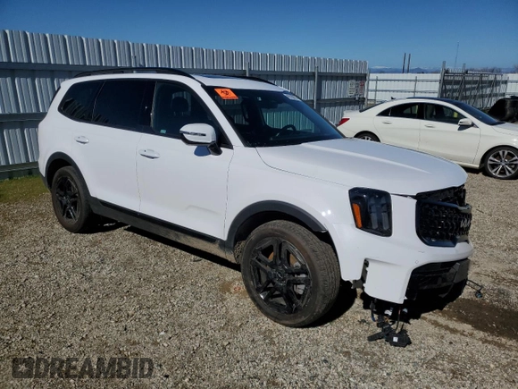 2024 Kia Telluride SX X-Line with VIN 5XYP5DGC1RG528869, listed as a Copart auction lot 46706075 with 13,779 mi miles and Salvage Title. Bid and sale history available at carsss.com. Image 4.