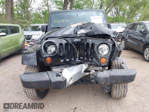 2013 Jeep Wrangler Unlimited Sahara with VIN 1C4BJWEG2DL549864, listed as a IAAI auction lot 42250556 with 231,018 mi miles and . Bid and sale history available at DreamBid. Image 13.