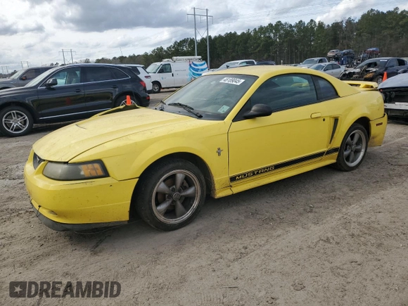 2002 Ford Mustang Standard with VIN 1FAFP40442F128344, listed as a Copart auction lot 48189045 with 0 mi miles and Salvage Title. Bid and sale history available at carsss.com. Image 1.