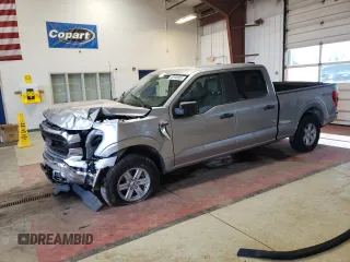 2023 Ford F-150 XL with VIN 1FTFW1E51PKD46978, listed as a Copart auction lot 48193805 with Not provided miles and Non repairable. Bid and sale history available at DreamBid. Image 1.