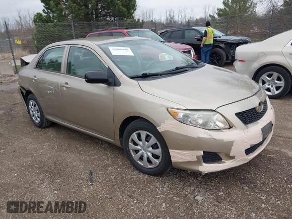 2010 Toyota Corolla with VIN 1NXBU4EE7AZ297198, listed as a IAAI auction lot 42080980 with 142,176 mi miles. Bid and sale history available at carsss.com. Image 1.