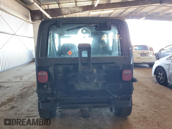 1994 Jeep Wrangler S with VIN 1J4FY19P9RP425255, listed as a Copart auction lot 41884425 with 177,089 mi miles and Salvage Title. Bid and sale history available at carsss.com. Image 6.