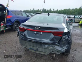 2019 Kia Forte LXS with VIN 3KPF24AD6KE087975, listed as a IAAI auction lot 42462277 with 102,142 mi miles and . Bid and sale history available at DreamBid. Image 6.