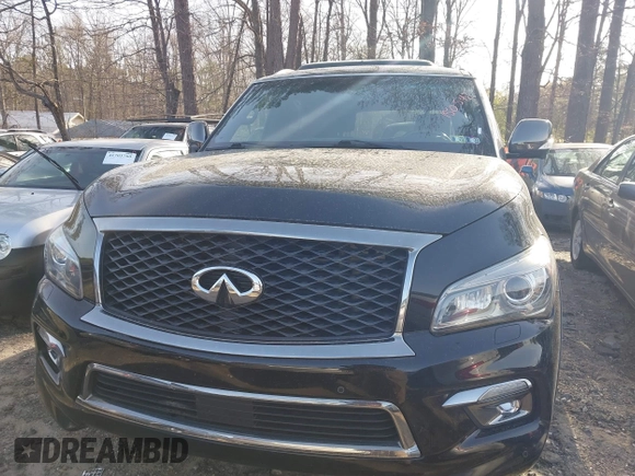 2017 Infiniti QX80 with VIN JN8AZ2NE8H9150542, listed as a IAAI auction lot 41810110 with 112,328 mi miles and . Bid and sale history available at DreamBid. Image 6.
