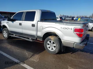 2009 Ford F-150 XL with VIN 1FTPW14V69KC72949, listed as a IAAI auction lot 41108137 with 195,965 mi miles and . Bid and sale history available at DreamBid. Image 3.