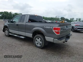 2013 Ford F-150 XL with VIN 1FTFX1EF3DFA21422, listed as a IAAI auction lot 42577828 with 185,203 mi miles and . Bid and sale history available at DreamBid. Image 3.