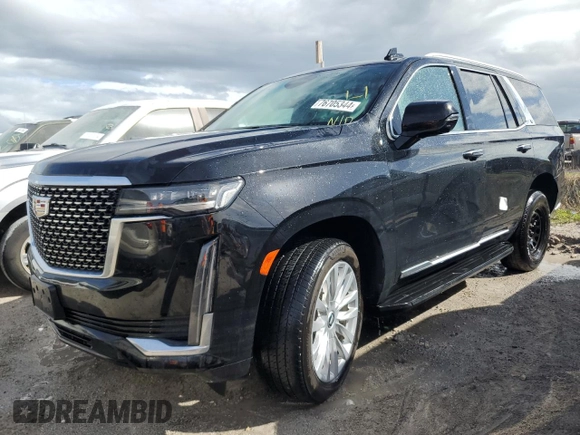 2023 Cadillac Escalade 4WD Luxury with VIN 1GYS4AKL2PR422989, listed as a Copart auction lot 76705344 with Not provided miles and Non repairable. Bid and sale history available at DreamBid. Image 1.