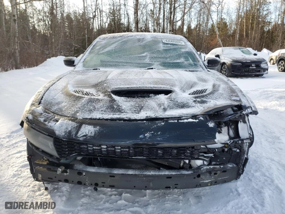 2019 Dodge Charger SXT with VIN 2C3CDXJG9KH611637, listed as a Copart auction lot 43566805 with 117,782 mi miles and Clean Title. Bid and sale history available at carsss.com. Image 5.