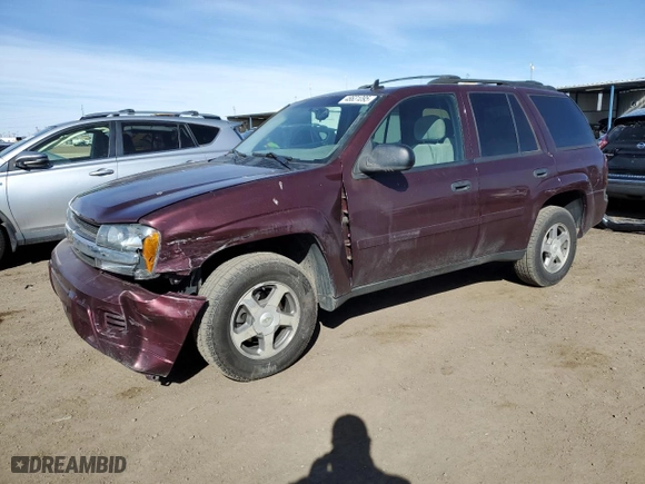 2006 Chevrolet TrailBlazer LS with VIN 1GNDT13S562309429, listed as a Copart auction lot 48631095 with 143,002 mi miles and Salvage Title. Bid and sale history available at carsss.com. Image 1.