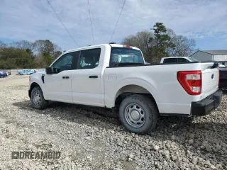 2021 Ford F-150 XL with VIN 1FTEW1CPXMKE96003, listed as a Copart auction lot 42162035 with 28,887 mi miles and Clean title. Bid and sale history available at DreamBid. Image 2.