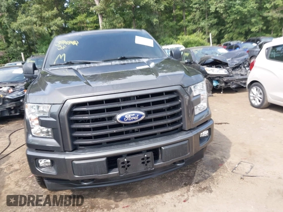 2017 Ford F-150 XL with VIN 1FTEX1EP8HKC51023, listed as a IAAI auction lot 39945482 with 105,260 mi miles. Bid and sale history available at carsss.com. Image 13.