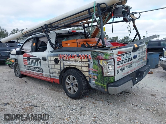 2019 Ford F-150 XL with VIN 1FTEW1CB9KFD18349, listed as a IAAI auction lot 41261246 with Not Provided miles and . Bid and sale history available at DreamBid. Image 3.