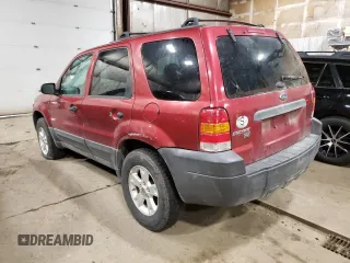 2005 Ford Escape XLT with VIN 1FMYU93175KD62706, listed as a Copart auction lot 44942134 with 0 mi miles and Salvage Title. Bid and sale history available at carsss.com. Image 3.