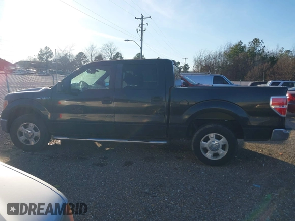 2010 Ford F-150 XL with VIN 1FTEW1C86AFA48466, listed as a IAAI auction lot 41236238 with 1 mi miles. Bid and sale history available at carsss.com. Image 14.