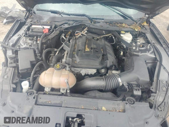 2019 Ford Mustang EcoBoost с VIN 1FATP8UH3K5181663, выставлен на аукционе Copart как лот 58815635 с пробегом 81 274 миль миль и На запчасти • Non repairable. История ставок и продаж доступна на DreamBid. Изображение 11.