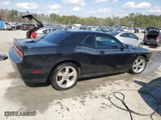 2010 Dodge Challenger R/T with VIN 2B3CJ5DT6AH314925, listed as a Copart auction lot 43913135 with 133,163 mi miles and Salvage Title. Bid and sale history available at carsss.com. Image 3.