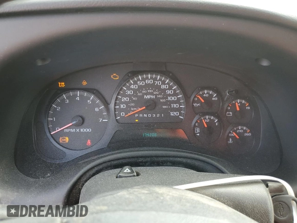 2008 Chevrolet TrailBlazer 1LT with VIN 1GNDT13S782125158, listed as a Copart auction lot 45360335 with 174,208 mi miles and Clean Title. Bid and sale history available at DreamBid. Image 9.