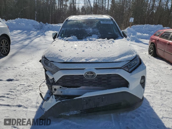 2019 Toyota RAV4 XLE with VIN 2T3W1RFV9KW016629, listed as a Copart auction lot 43346345 with 93,819 mi miles and Clean Title. Bid and sale history available at carsss.com. Image 5.