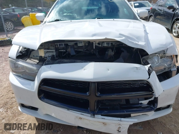 2014 Dodge Charger SXT with VIN 2C3CDXJG9EH255078, listed as a IAAI auction lot 41880363 with 124,864 mi miles. Bid and sale history available at carsss.com. Image 6.