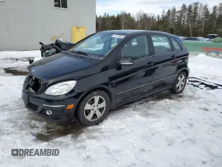 2010 Mercedes-Benz B 200 with VIN WDDFH3DB4AJ568589, listed as a Copart auction lot 47075335 with 124,366 mi miles and Salvage Title. Bid and sale history available at DreamBid. Image 1.