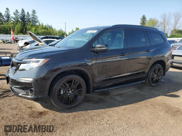 2019 Honda Pilot Elite with VIN 5FNYF6H09KB507265, listed as a Copart auction lot 62853885 with Not provided miles and Clean title. Bid and sale history available at DreamBid. Image 1.