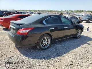 2011 Nissan Maxima SV with VIN 1N4AA5AP8BC800725, listed as a Copart auction lot 52021755 with Not Provided miles and Salvage Title. Bid and sale history available at DreamBid. Image 3.