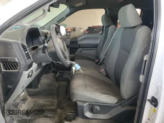 2017 Ford F-150 XL with VIN 1FTEX1C80HKE24030, listed as a Copart auction lot 48968435 with 175,104 mi miles and Clean Title. Bid and sale history available at carsss.com. Image 7.
