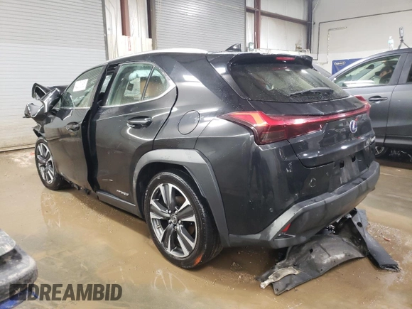 2019 Lexus UX 250h with VIN JTHU9JBH9K2009009, listed as a Copart auction lot 42381095 with Not provided miles and Salvage title. Bid and sale history available at DreamBid. Image 2.