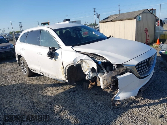 2018 Mazda CX-9 Touring z VIN JM3TCBCY3J0223076, wystawiony jako IAAI lot #42099819 z przebiegiem 160 097 mil mil oraz . Historia ofert i sprzedaży dostępna na DreamBid. Obrazek 1.