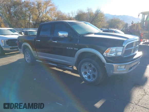 2009 Dodge 1500 SLT with VIN 1D3HV13T79J528679, listed as a IAAI auction lot 40873674 with Not Provided miles and . Bid and sale history available at DreamBid. Image 1.