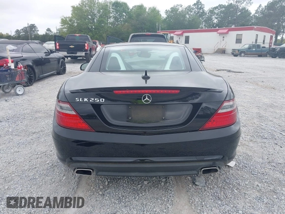 2014 Mercedes-Benz SLK 250 with VIN WDDPK4HA4EF079437, listed as a IAAI auction lot 41958020 with 95,063 mi miles and . Bid and sale history available at DreamBid. Image 16.
